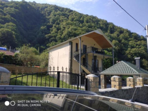 Qax İlisu